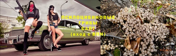 ешки Карпинск