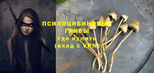 кокс Каменногорск