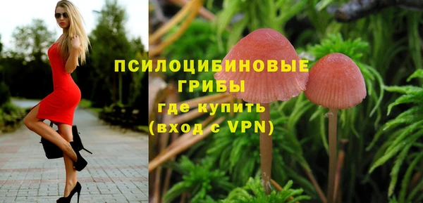 кокс Каменногорск