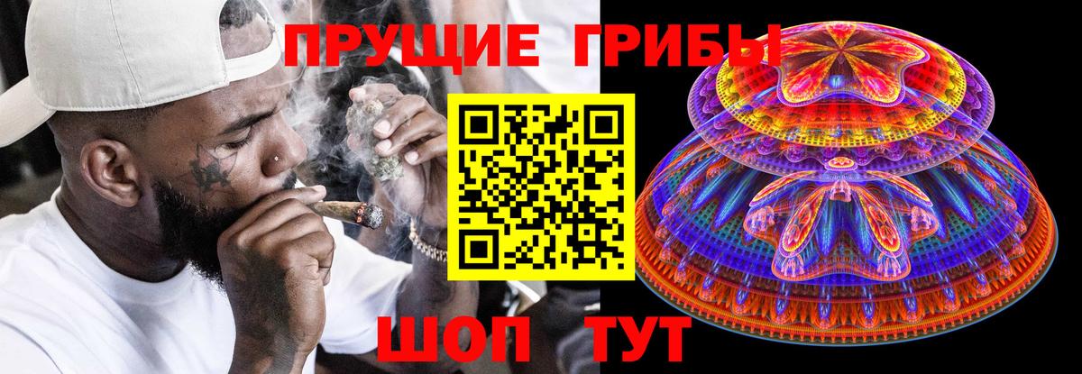Галлюциногенные грибы прущие грибы  Вход с VPN  Малоярославец 